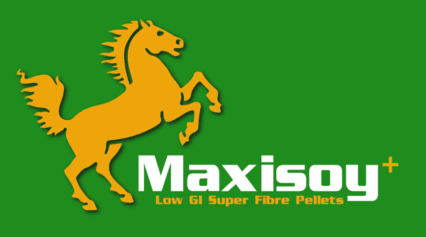 maxisoy